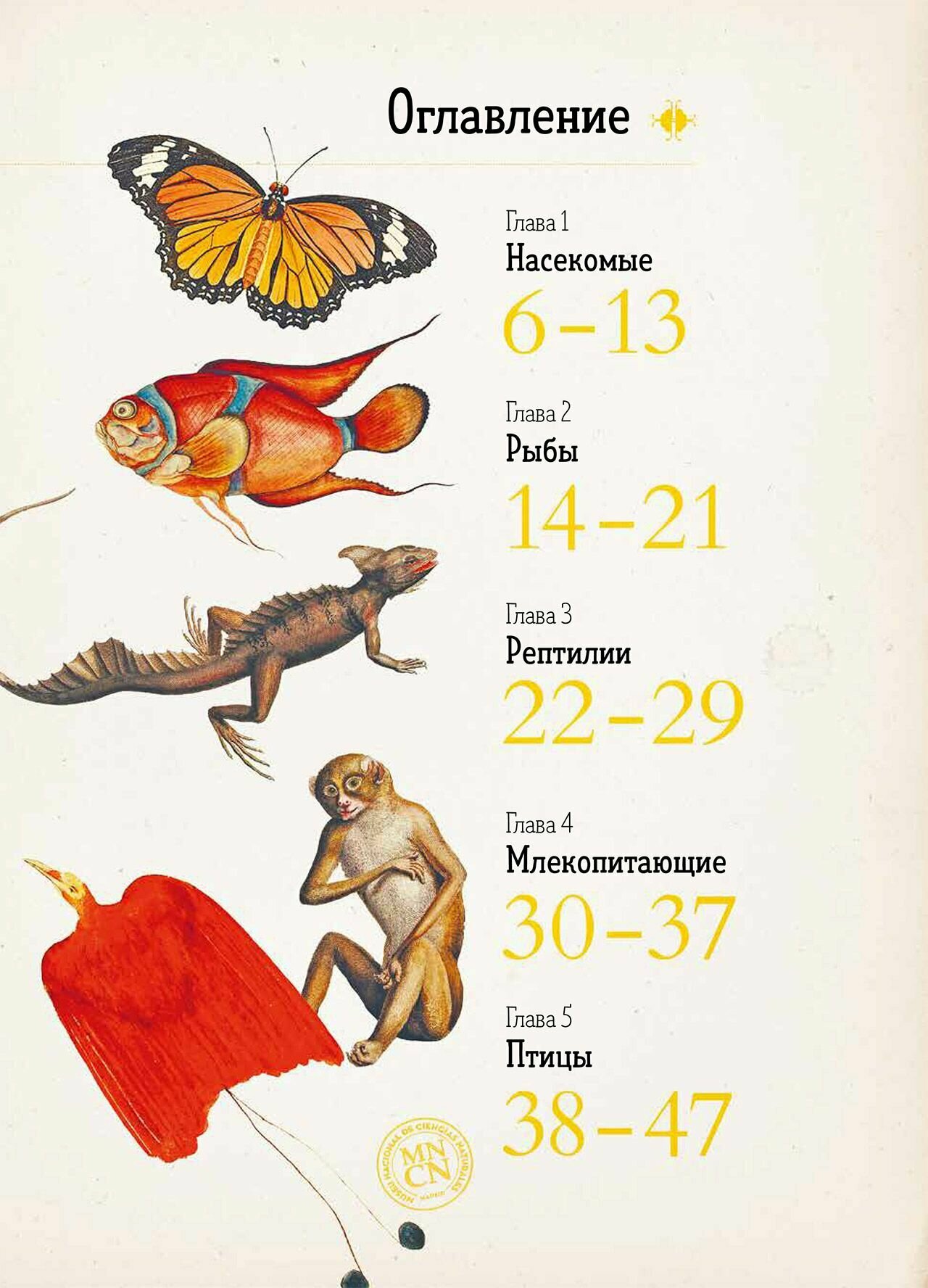 Удивительные энциклопедии. Зоология в картинках - фото №2