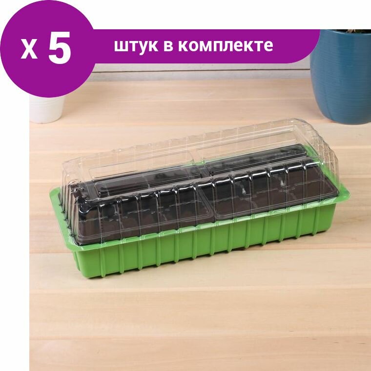 фото Мини-парник для рассады, 40 × 16 × 13 см, 2 вставки, 18 ячеек, Greengo (5 набор)