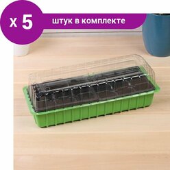 Мини-парник для рассады, 40 x 16 x 13 см, 2 вставки, 18 ячеек, Greengo