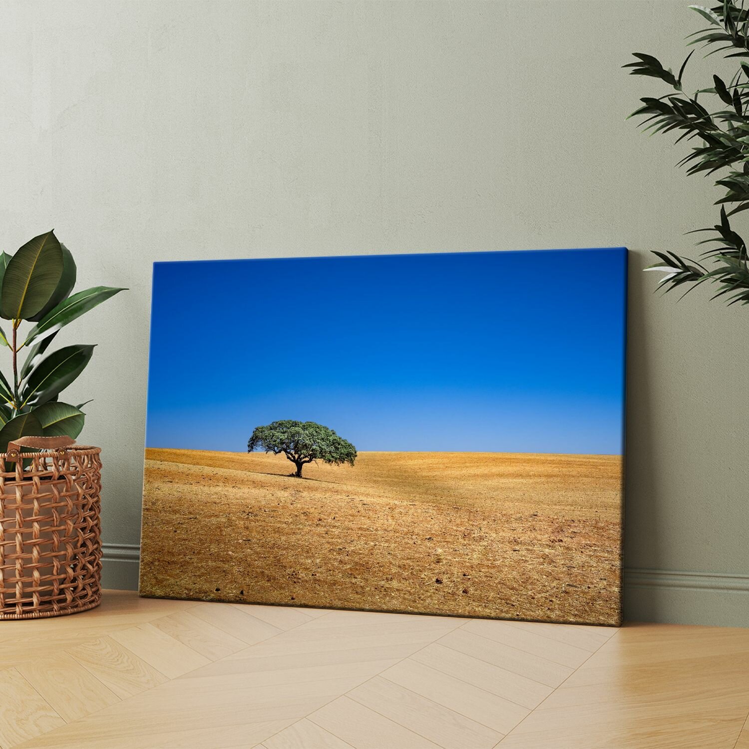 Картина на холсте (Очищенное название Дерево в поле африканская саванна пустыня карру.) 30x40 см. Интерьерная на стену.