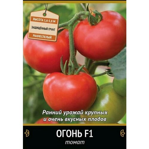 Семена Томат F1 Огонь