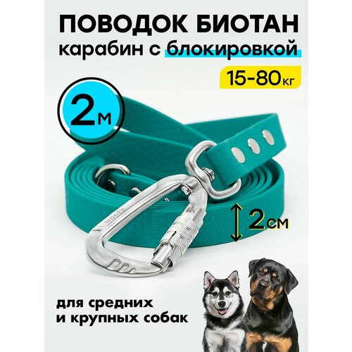 Биотановый поводок 2 м / 20 мм карабин усиленный