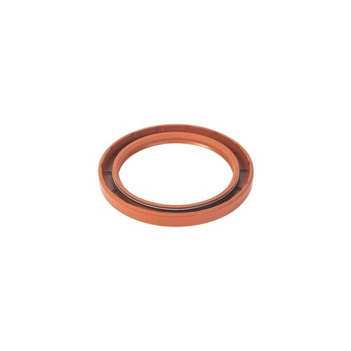 Росичъ 228010510 Сальник хвостовика МАЗ-4370, МТЗ 2.2х80х105х10 (росичъ)