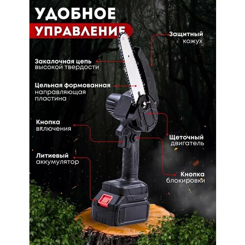 Пила аккумуляторная 4500₽