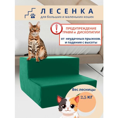 Лесенка для кошек