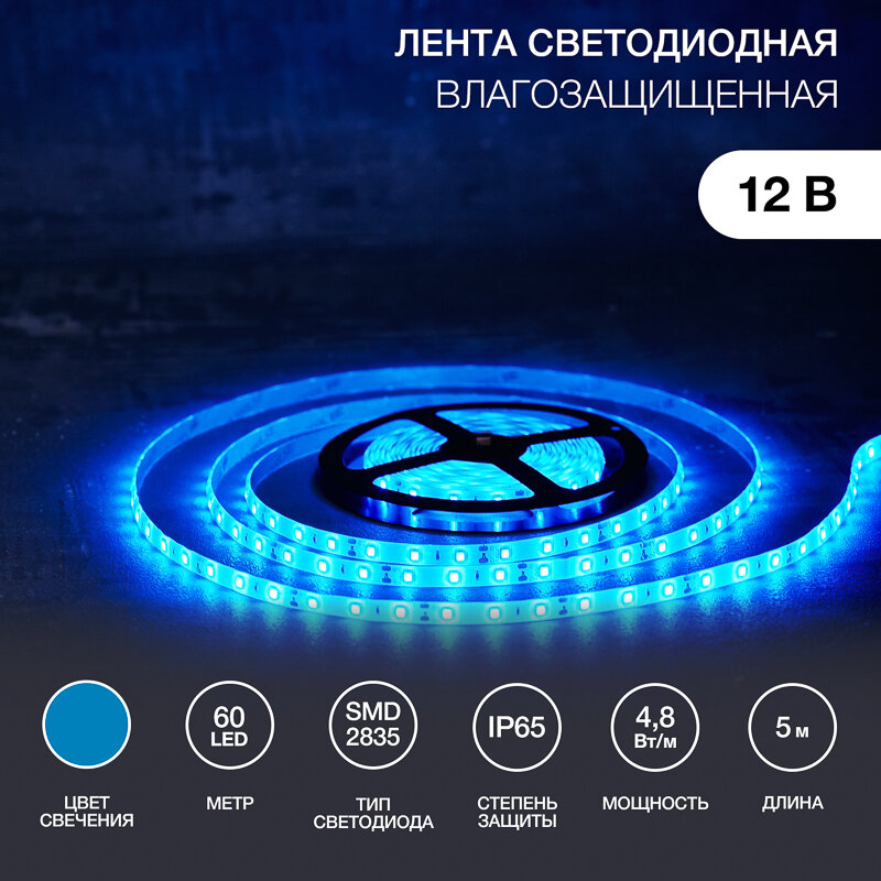 LED лента 12В, 8мм, IP65, SMD 2835, 60 LED/m, 12V, синяя (катушка 5 метров)