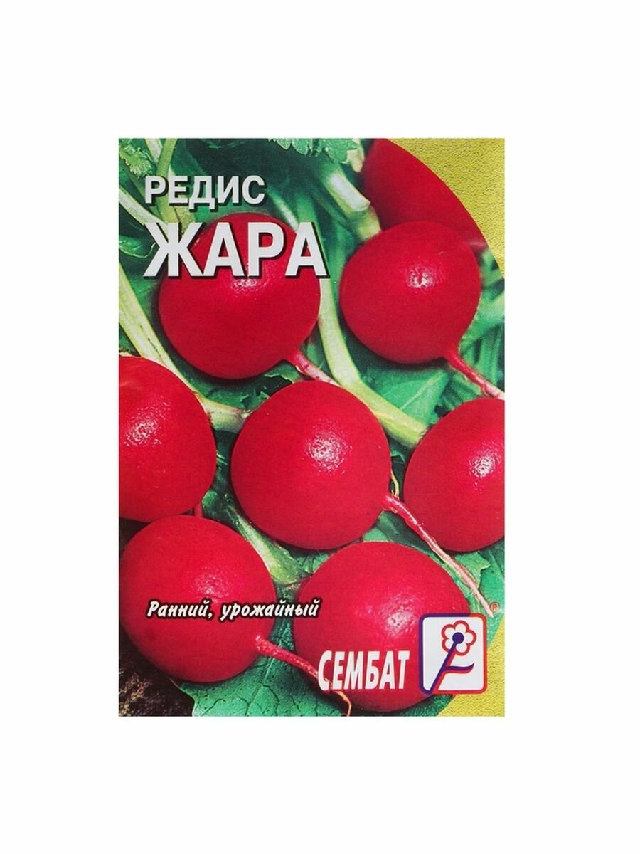 Семена Редис 