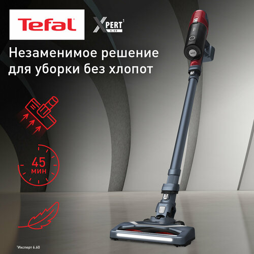Пылесос Tefal TY6878WO RU, серый