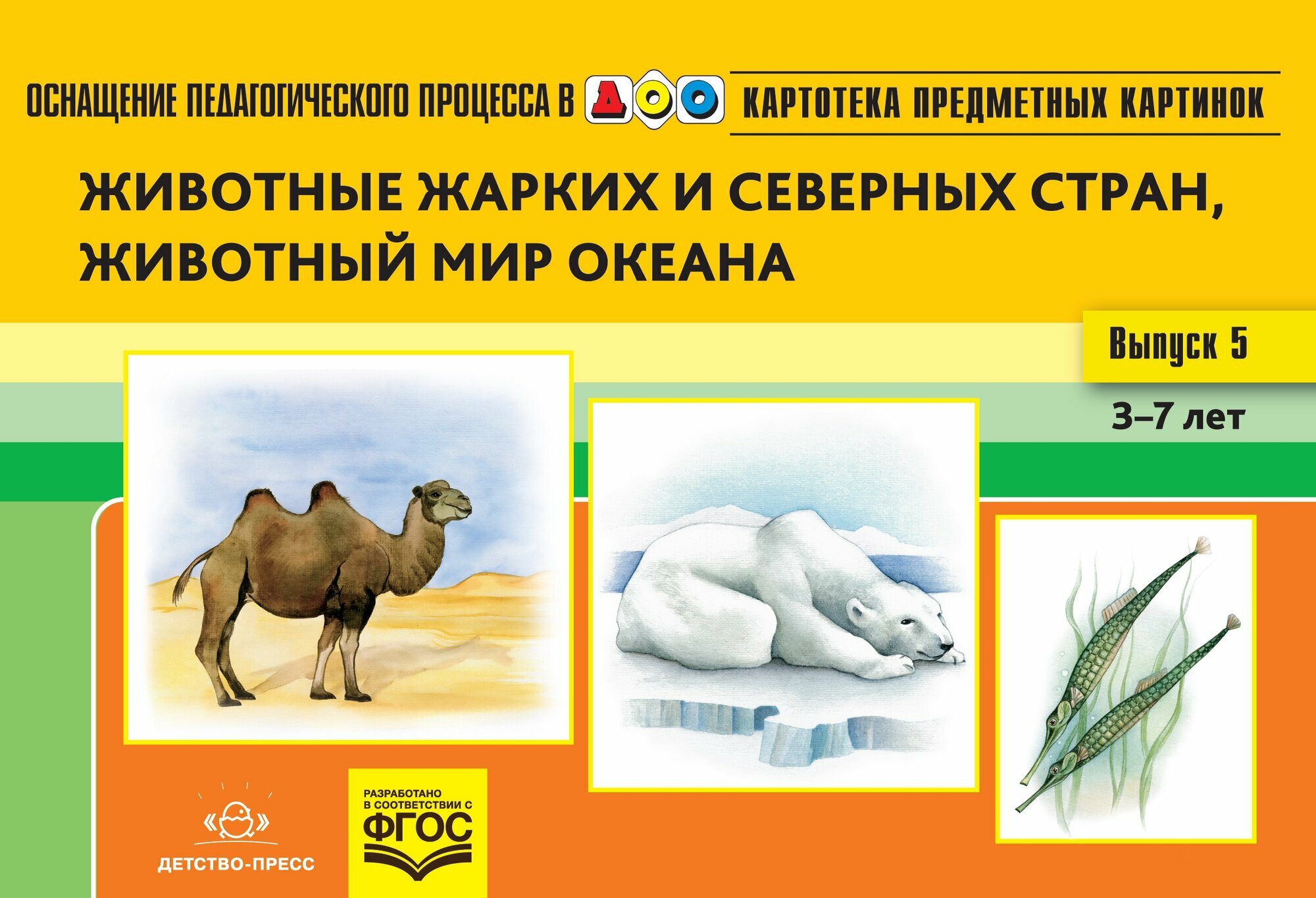 Животные жарких и север. стран, жив. мир океана