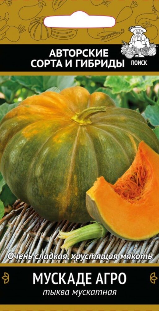 Семена Тыква Мускаде Агро мускатная 10шт Поздние (Поиск)