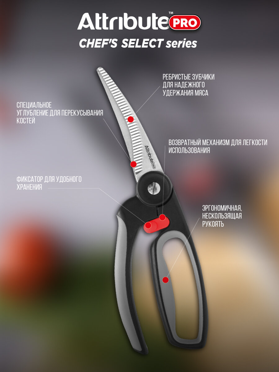 Изображение Ножницы кухонные универсальные для птицы Attribute CHEF'S SELECT