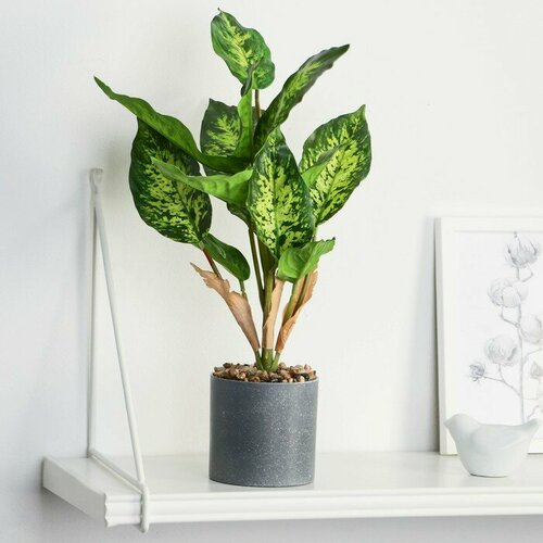 SUI Бонсай в горшке Диффенбахия 9х33 см 1637₽