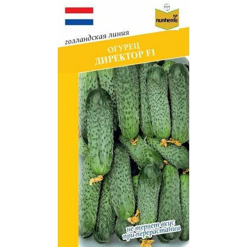 Огурец директор F1