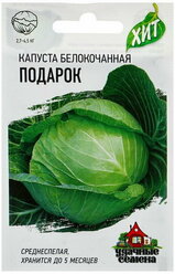 Семена Капуста белокочанная "Подарок" для квашения, 0,1 г серия ХИТ х3