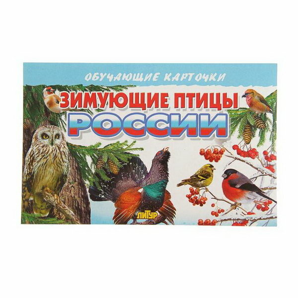 Обучающие карточки "Зимующие птицы России", 16 карточек