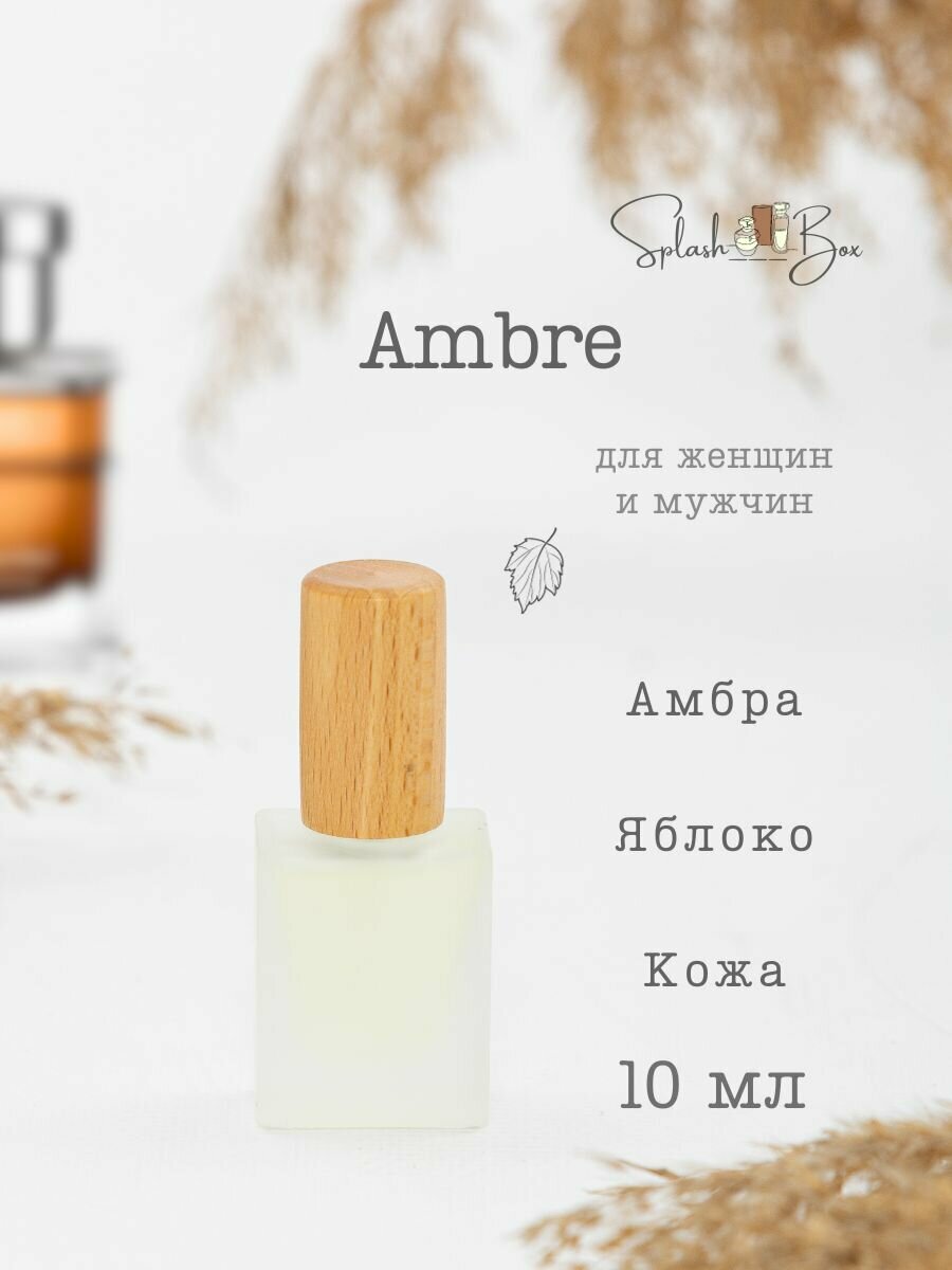 Ambre духи стойкие