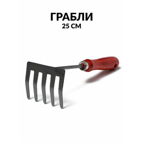 Грабли, 5 прямых зубцов, длина 25 см, деревянная ручка