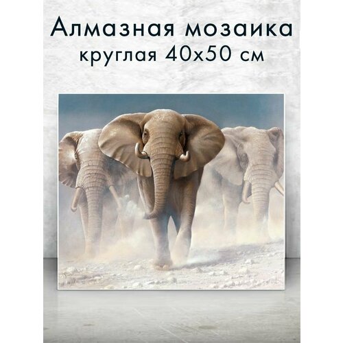 Алмазная мозаика (круг) Слоны 40х50 см