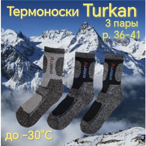 Термоноски Turkan, 3 пары, размер 36/41, мультиколор, серый термоноски turkan 3 пары размер 36 41 синий черный бежевый