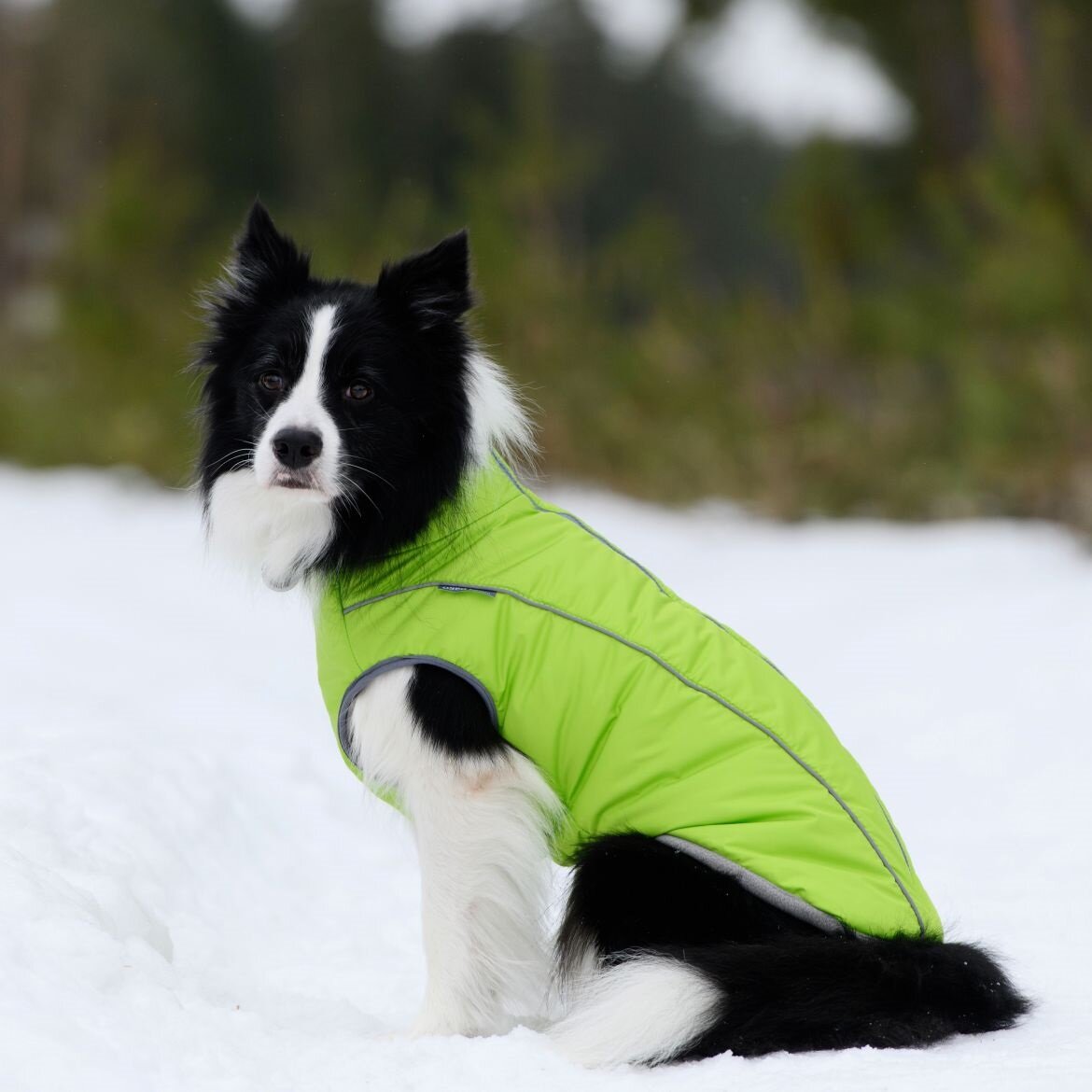 Жилет зимний для собак Osso-fashion Аляска р.30 (салатовый)