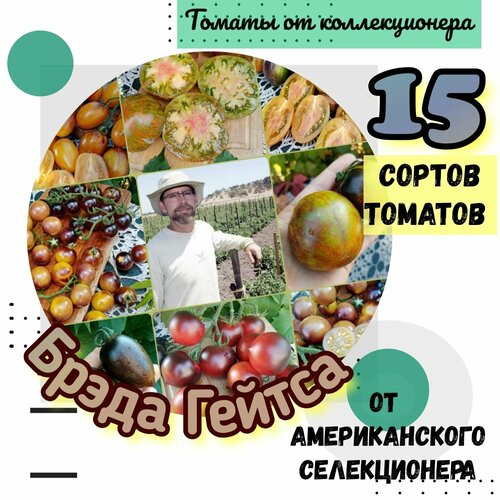 Семена томатов, 15 сортов селекции Брэда Гейтса, США, мировая коллекция томатов