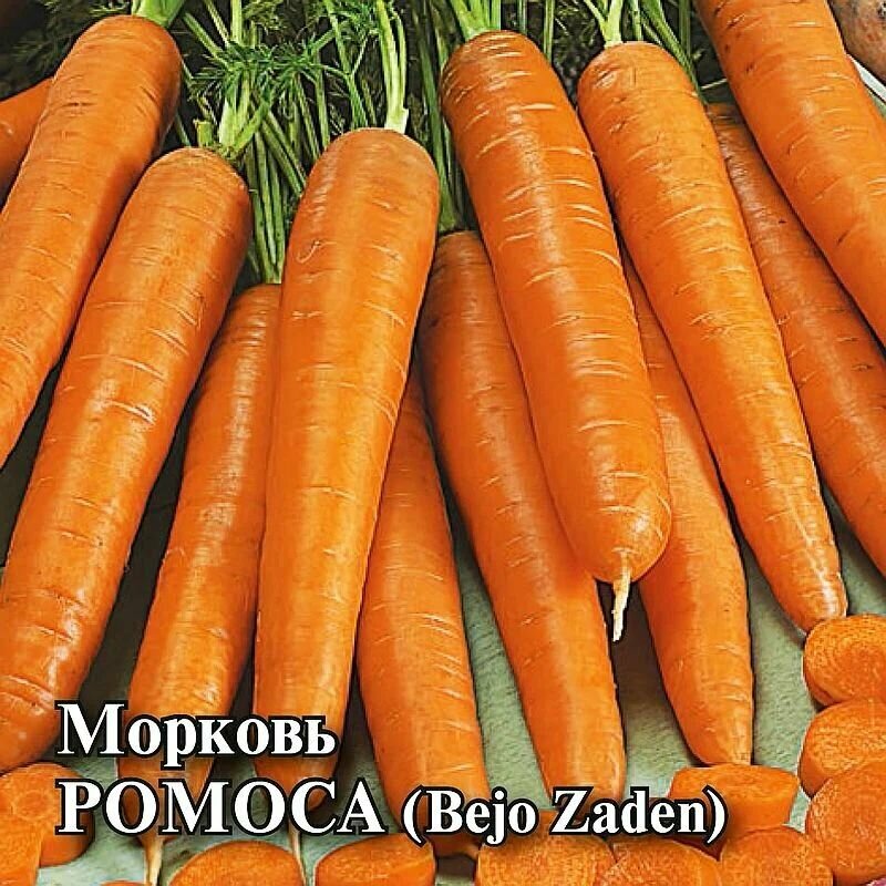 Коллекционные семена моркови Ромоса