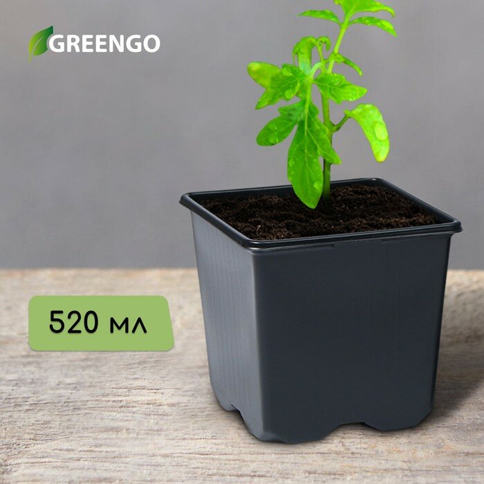 Горшок для рассады 520 мл 9×9×8 см чёрный Greengo