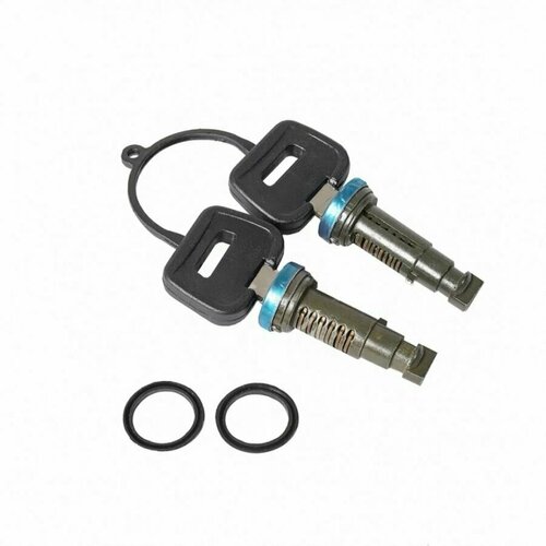 Личинка замка двери DAF 2 личинки 2 ключа 699₽