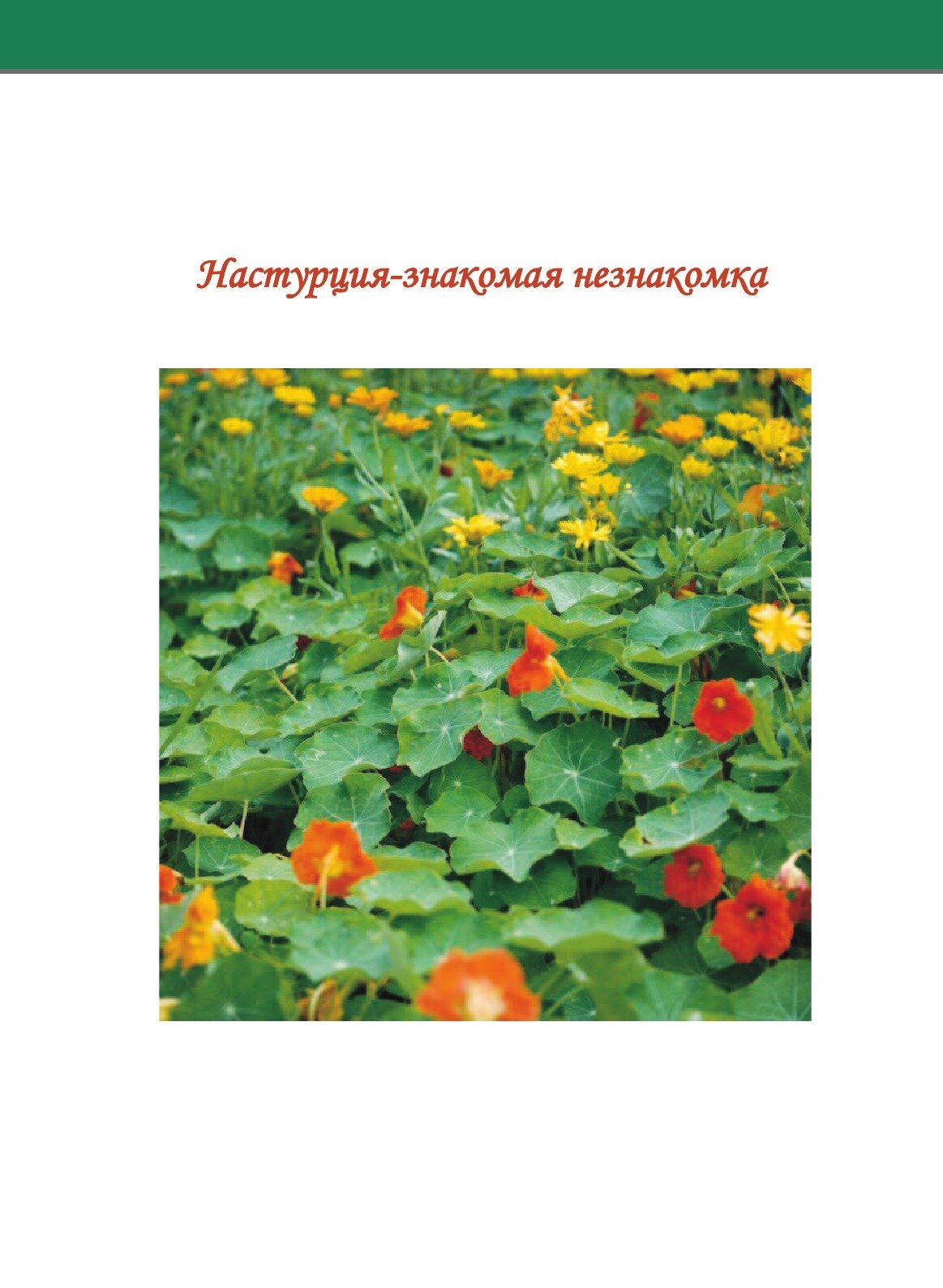 Книга Настурция – Знакомая Незнакомка - фото №3