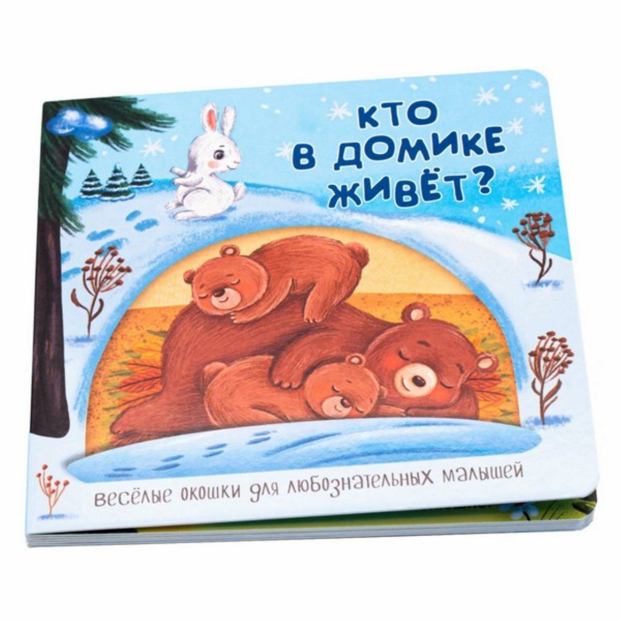 Книжка с двойными окошками КТО В домике живёт, 16x16x1 см