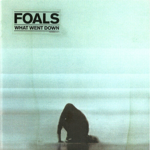 Foals: What Went Down