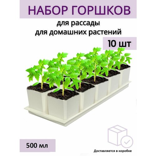 Горшки для рассады и цветов, горшок для цветов - 10 шт по 500 мл на общем поддоне, белые