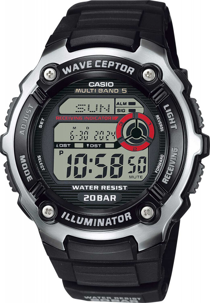 Наручные часы CASIO