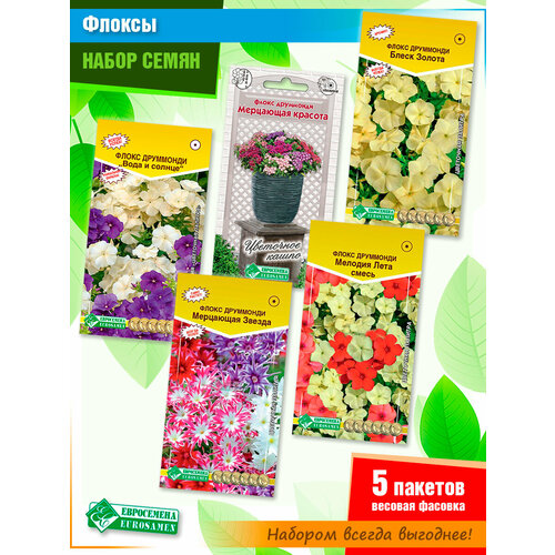 Набор семян садовых цветов Флоксы от Евросемена (5 пачек) набор семян садовых цветов циннии от евросемена 4 пачки
