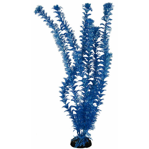 Растение для аквариума пластиковое Barbus Plant 020/30 Кабомба синий металлик 30 см (1 шт) растение для аквариума пластиковое кабомба оранжевая barbus plant 021 30 см