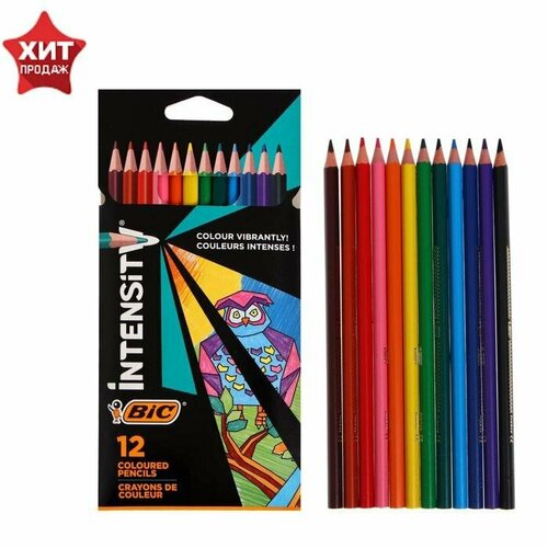 Карандаши 12 цветов BIC Color Up, для подростков и взрослых, трёхгранные, микс (комплект из 4 шт)