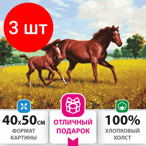 Комплект 3 шт, Картина по номерам 40х50 см, остров сокровищ Лошади на лугу, на подрамнике, акриловые краски, 3 кисти, 662464 лошади на лугу на подрамнике акриловые краски 3 кисти 40х50 см 662464