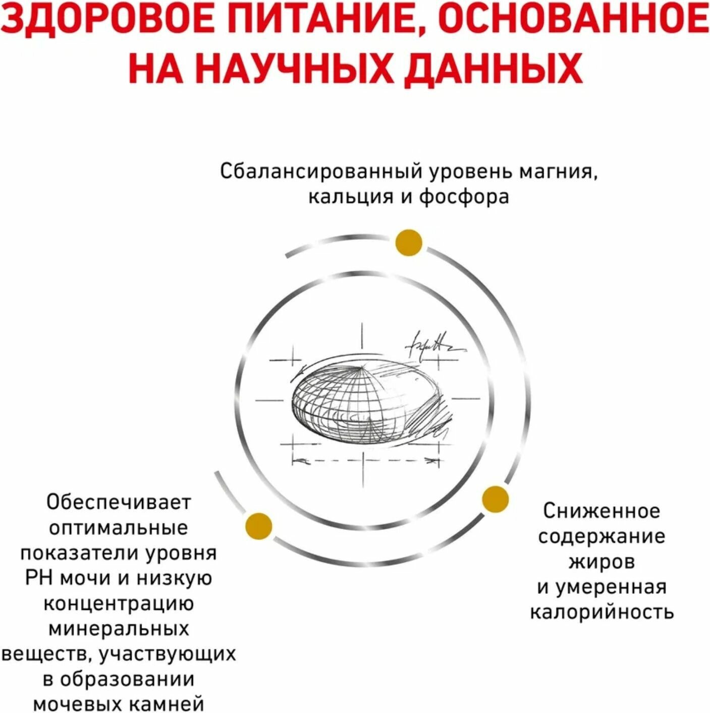 Уринари С/О Модерейт Кэлори (фелин) 1,5кг - фотография № 10