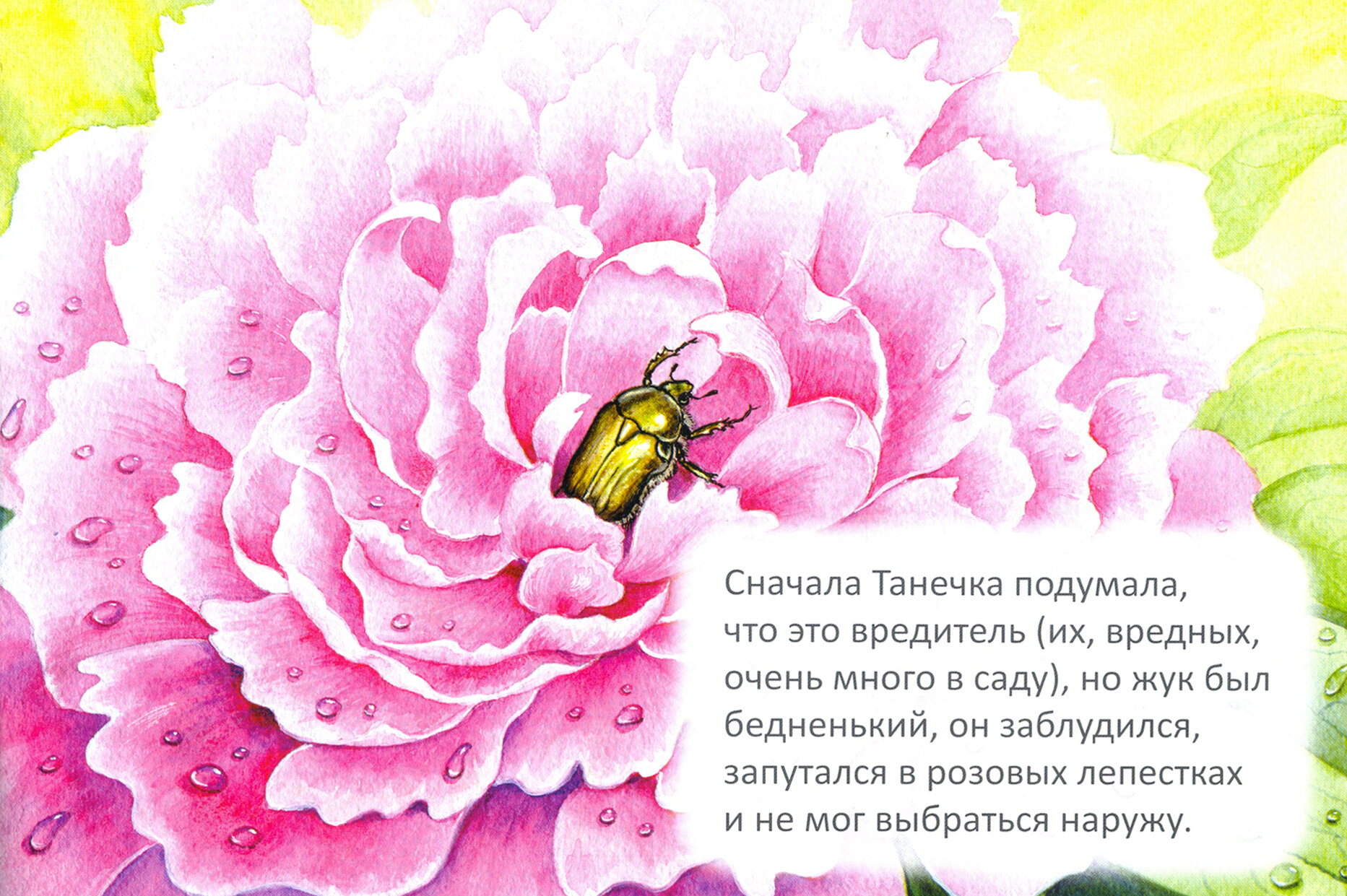 Благодарю (Брейэр Станислав Владимирович) - фото №5