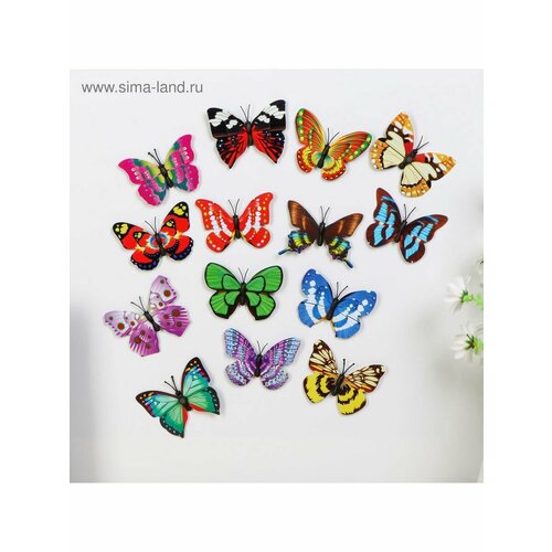 Магнит пластик Бабочка с двойными крылышками микс 5х7 см