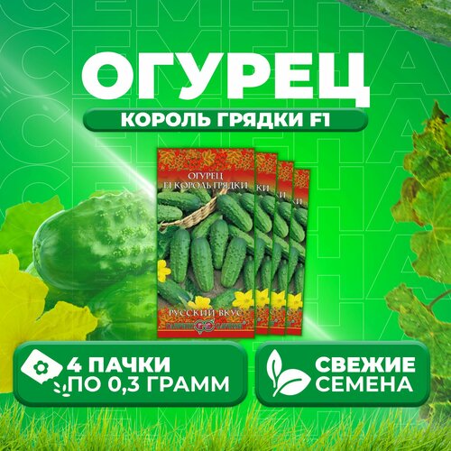 Огурец Король грядки F1, 0,3г, Гавриш, Русский вкус (4 уп) огурец король грядки f1 0 3г русский вкус н10 набор 10шт