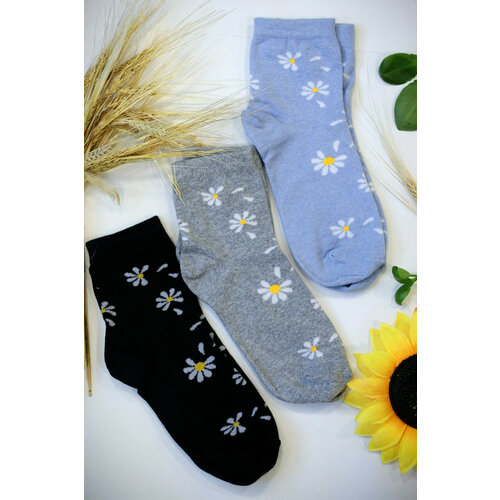 фото Носки berchelli, 3 пары, 2 уп., размер 36-38, черный, голубой, серый