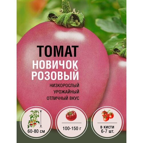 Томат Новичок Розовый (1 пакет по 0,2 гр)
