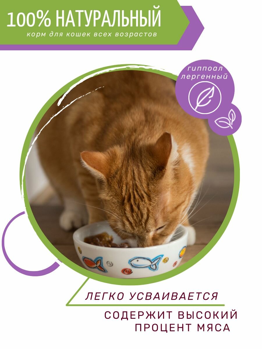 Амурр для взрослых кошек с уткой и морковью в желе (100 гр х 24 шт) - фотография № 8