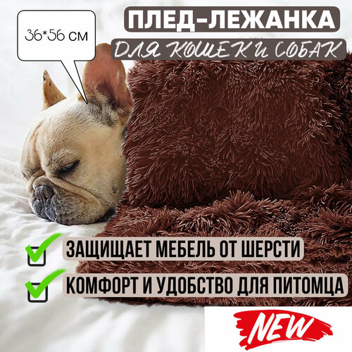Мохнатик, плед лежанка для кошек и собак, размер 36*56, полиэстер и флис, коричневая