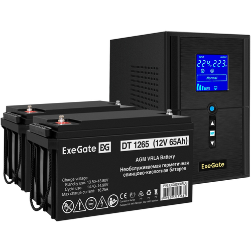 ИБП + батарея ExeGate SineTower SZ-1000. LCD. AVR.2SH.1C13. USB + 2x DT 1265 (65Ач) (EX296798RUS)