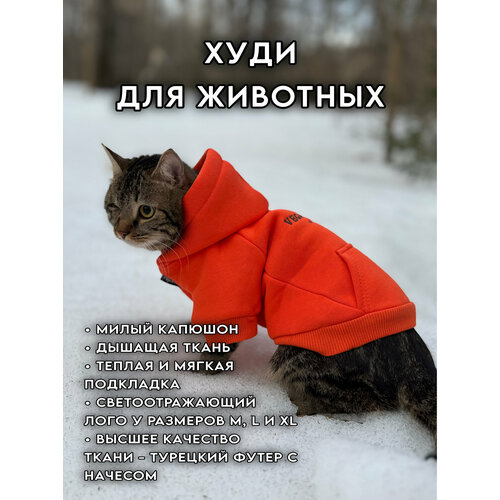 Худи для животных кошек и собак VEGANBASED Оранжевый XS/Спинка 27см худи sol s размер xl черный