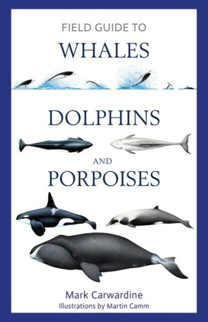 Field Guide to Whales, Dolphins and Porpoises - фото №1