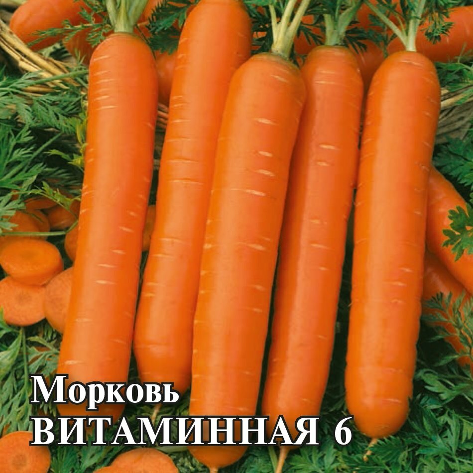 Семена Морковь Витаминная 6 25г Гавриш Фермерское подворье 2 пакетика