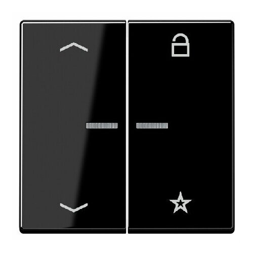 Интеллектуальный элемент управления черный FM A 1701 BFP SW Jung 4011377152212 233517₽